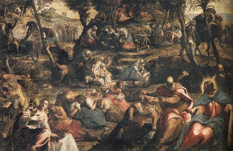 Jacopo Tintoretto Gathering of Manna China oil painting art